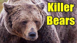 Killer Bears – Bear Cannibalism and Bear Infanticide - Cub Killer Bears