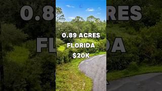 0.89 Acres with paved road access for Sale in Inglis Florida for $20,000 #land #property #shorts
