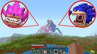 Shin Sonic vs Shin Amy in Minecraft