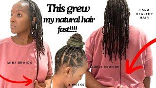 This grew my hair fast!!!| Mini braids for hair growth| 2024 |#minibraids