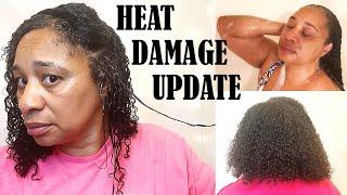 HEAT DAMAGE RECOVERY || 3 MONTH UPDATE || FINE NATURAL HAIR