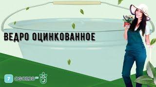 Ведро оцинкованное