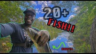 20 minutes packed with catching Fish! (Bowfin, Bass, Bluegills and more!)