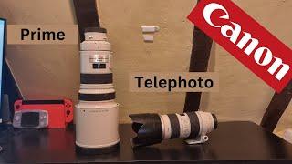 Prime vs Telephoto Lenses - Which should you get? What are the Pros and Cons?