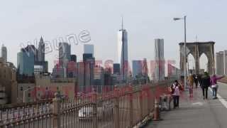 Wayne Takes a Bite Of the Big Apple