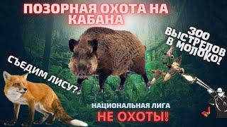 Съесть лису?Промазать 300 раз по утке?Застрелить кабана с Вышки? Легко! Национальная лига Не Охоты!