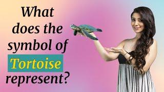 What does the symbol of Tortoise represent | Significance of Symbols | Dr. Jai Madaan