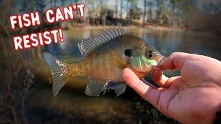 Catch Panfish with the Slip Float Rig