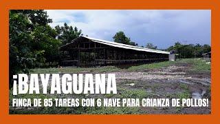 Finca de 85 tareas Con granja de pollo en Bayaguana