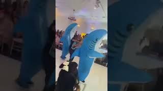 Bad bunny Tiburones at Bethany’s Sweet 16