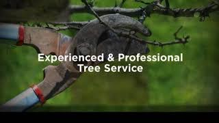 Jake's Tree Service