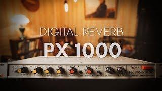 PX-1000: Reverb/Delay/Flanger - RARE vintage Soviet rack multi-effect processor