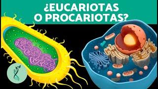 ¿Qué TIPOS de CÉLULAS existen?  (Características, Partes y Funciones de la Célula)