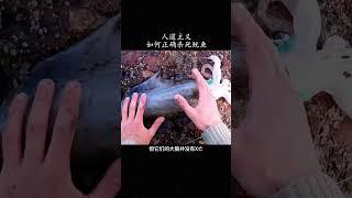 如何以人道的方式拍死鱿鱼 #科普 #涨知识 #知墨探索 #科学 #冷知识 #shorts