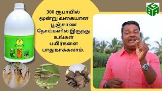 Uses of Trichoderma Viride explained by PT. Senthil Kumar | Thulir Agro products | Tamil