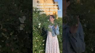 #лето #учитель
