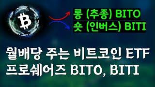 BITO BITI - 월배당 주는 비트코인 ETF, 헷지전략도 가능(지갑없이 코인투자)