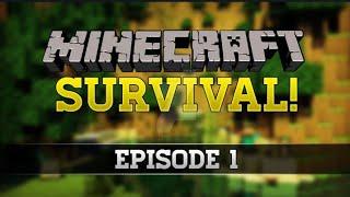 My new survival series with SMRK Gaming   Minecraft Pe