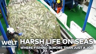 STORMS, STEEL AND POLLOCK: Why Deep-Sea Fishing is a Job for True Risk-Takers | WELT Documentary