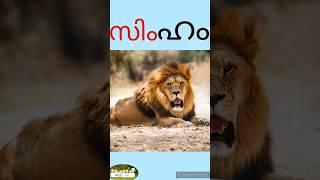 'സ' മലയാളം വ്യഞ്ജനാക്ഷരം | malayalam vyanjanam @Kuttytime#aksharamala #malayalamaksharam #alphabet