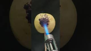 LIGHTER  VS GUAVA ..! #shorts #lighter #experiments #satisfying #burntest #subscribe #guava #burn