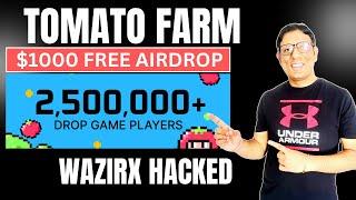 Wazirx $250M Hacked | TOMATO FARMING - FREE $1000 AIRDROP | Wazirx Exchange