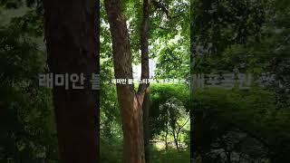 래미안블레스티지 & 개포공원 02 571 8889 타임부동산 #개포동아파트 #래미안블레스티지산책로 #개포동부동산 #개포공원