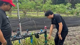 Latest HI-TECH Complete Irrigation Solution, Meron na sa Pinas! 2,000 HAs Open Field kaya