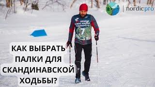 Как выбрать палки для скандинавской ходьбы?