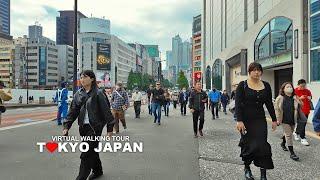 TOKYO CITY WALKING TOUR - Shinjuku, Shinjuku-sanchome, Hanazono-dori, Tokyo, Japan, Travel, 4K