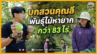 เกษตรสัญจรบุกสวนคุณลี สวนผลไม้แปลกและหายาก บนพื้นที่กว่า 83 ไร่ | เกษตรสัญจร