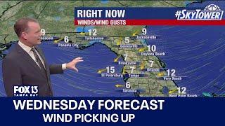 Tampa weather | Windy Wednesday