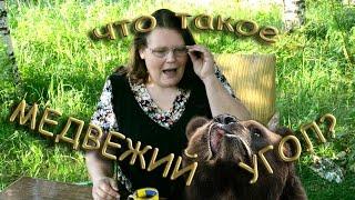 Что такое МЕДВЕЖИЙ УГОЛ?