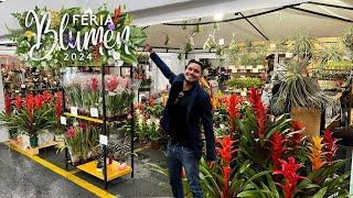 Así fue BLUMEN: Una feria de plantas en Colombia