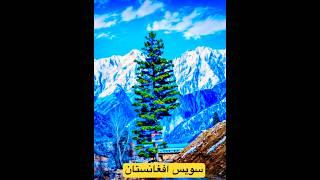 سویس -افغانستان️ #music #instrumental #love #song #افغانستان #travel #nature #نورستان #طبیعت