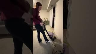 Cleaning the smell out of basement carpet #cleaningvideos #cleantok #carpetcleaning #cleantok