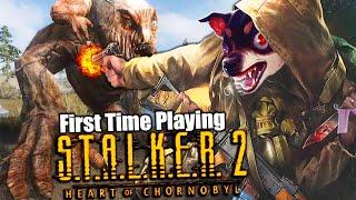 NEW Horror FPS "S.T.A.L.K.E.R. 2" (I've never played one...)