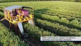 Oxbo Raspberry & Blueberry Harvesters