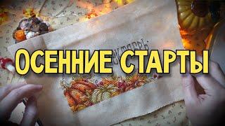 Осенние старты и покупки