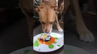 Someone bought steaks for my dogs and asked me to make them a nice dinner on their behalf.