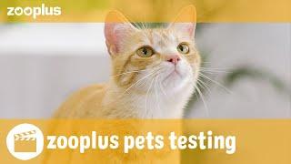Nils | zooplus pets testing: PRO PLAN Liveclear Sterilised Adult