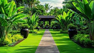 Creating a Lush Oasis: Beautiful Oasis Garden Landscape Ideas for Your Home