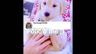 This is my intro! Im a new youtuber so go ahead give me some tips! Mwah ly!