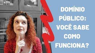 DOMÍNIO PÚBLICO: como usar obras e personagens de terceiros | Ronize Aline