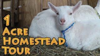 1 Acre Homestead Tour