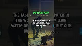 Mind Matters: Fascinating Psychology Facts Unveiled