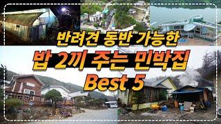 반려견과 함께 할 수 있는 밥 주는 민박집 BEST5 ㅣ 반려견동반 펜션 ㅣ 강아지 동반 펜션 ㅣ 댕댕이 펜션