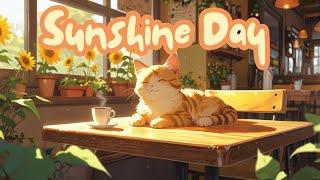 Sunshine Day Lofi  1 Hour Cafe Song  Cute & Relaxing Music   Brighten Your Day