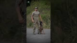 #k9 #dog #tactical #dogsoftiktok #trending #dogtrainer