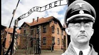 David Irving  - The Life and Death of Heinrich Himmler.